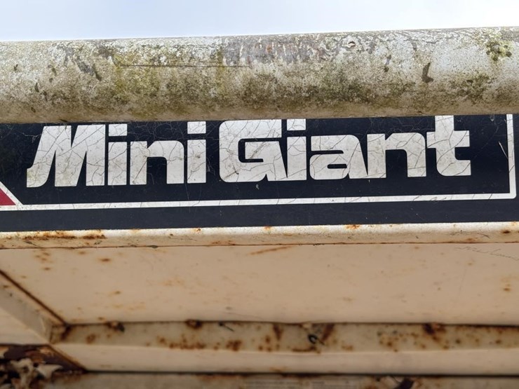 1989-mini-giant-n150-image-33