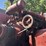 massey-ferguson-205-image-22