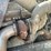 1998-freightliner-dry-tender-truck-(cp0654,-unit-28644)-image-26