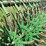 john-deere-400-image-6