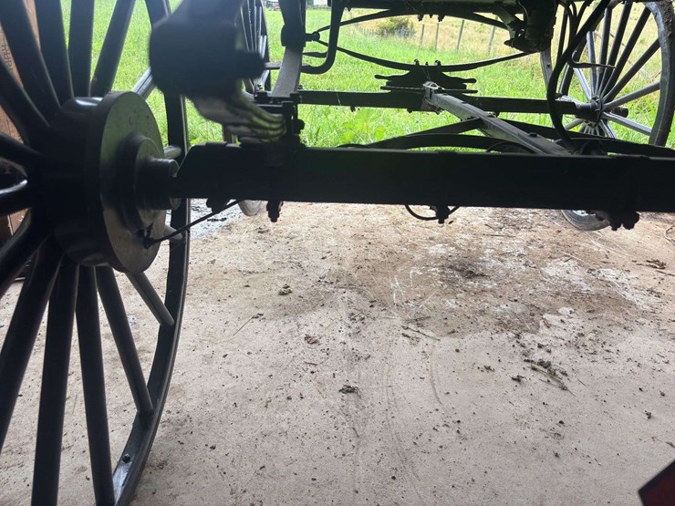 david-williams-2-seater-buggy-image-20