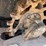 2006-caterpillar-252b-image-15
