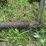 (2)-oliver-widefront-ends-image-9