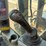 2012-caterpillar-316el-image-34