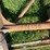 oliver-horse-drawn-sickle-mower-image-23