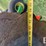 2021-john-deere-2680h-image-44