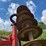case-ih-496-image-28