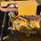 2019-caterpillar-330gc-image-20
