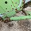 john-deere-428-image-16