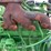 #52-•-#24921-•-john-deere-3029-3-cyl-power-unit-cd3029g138128-inv#:-24921-image-6
