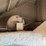 1995-wilson-grain-trailer-image-30