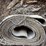 hit-and-miss-engine-long-exhaust-and-(2)-flatbelts-image-5