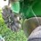 john-deere-1750-image-19