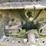 case-ih-2594-image-22