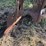 ih-3-14”-slat-bottom-trailing-plow,-clutch-lift-image-8