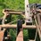 oliver-horse-drawn-sickle-mower-image-16