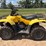 2007-honda-trx250-image-1