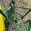 john-deere-1900-image-53