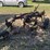 ih-3-14”-slat-bottom-trailing-plow,-clutch-lift-image-2