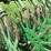 john-deere-400-image-5