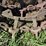 skeleton-steel-wheels-image-4