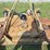 land-pride-at2572-image-6