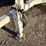 1994-butler-pole-trailer-image-11