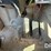 2006-ihc-9200i-van-truck-(cp0653,-unit-37745)-image-31