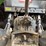 case-ih-2394-image-18