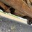 2002-chevrolet-1500-image-29