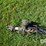 maurer-m24-image-23