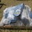 #5109-•-lot-of-2-chain-hoist-image-2