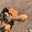 #4730-•-hydro-blaster-trailer-(no-title)-image-27