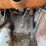 #4735-•-1990-chevy-van-30-short-bus-(wi-title-in-delay)-image-15