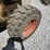 bobcat-s250-image-16