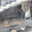 2020-bobcat-mt85-image-10