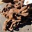 #1693-•-(2)-chains-with-hooks-image-3