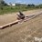 ksi-080620-planter-conveyor-image-3