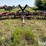 case-ih-496-image-2