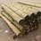 bundle-of-(24)-posts-image-1