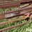hesston-30-image-16