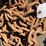 #1690-•-(2)-chains-with-hooks-image-4