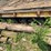 #5459-•-1975-dyna-weld-fifth-wheel-tir-axle-trailer-(has-wi-title)-image-8