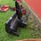 #3008-•-simplicity-snowblower-image-5