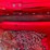 #1685-•-(2)-homelite-chainsaws-in-hard-cases-image-5