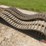 set-of-skid-steer-tracks-image-1
