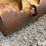 54"-toothed-excavator-bucket-image-20