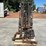 2007-daewoo-gc25e-image-7