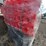 #107-•-(100)-traffic-cones-image-3