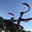john-deere-1600-image-12